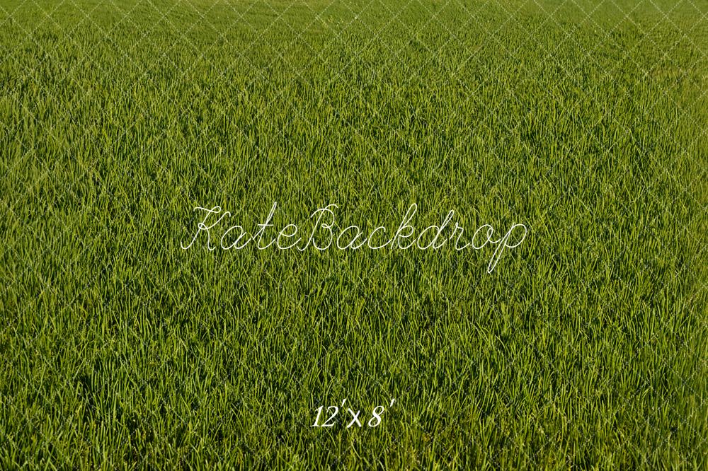 Kate Green Grass Texture Floor Backdrop Designed by Emetselch - Image 8