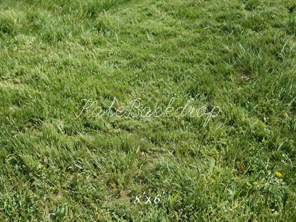 Kate Green Grass Texture Floor Backdrop Designed by Kate Image - Image 3