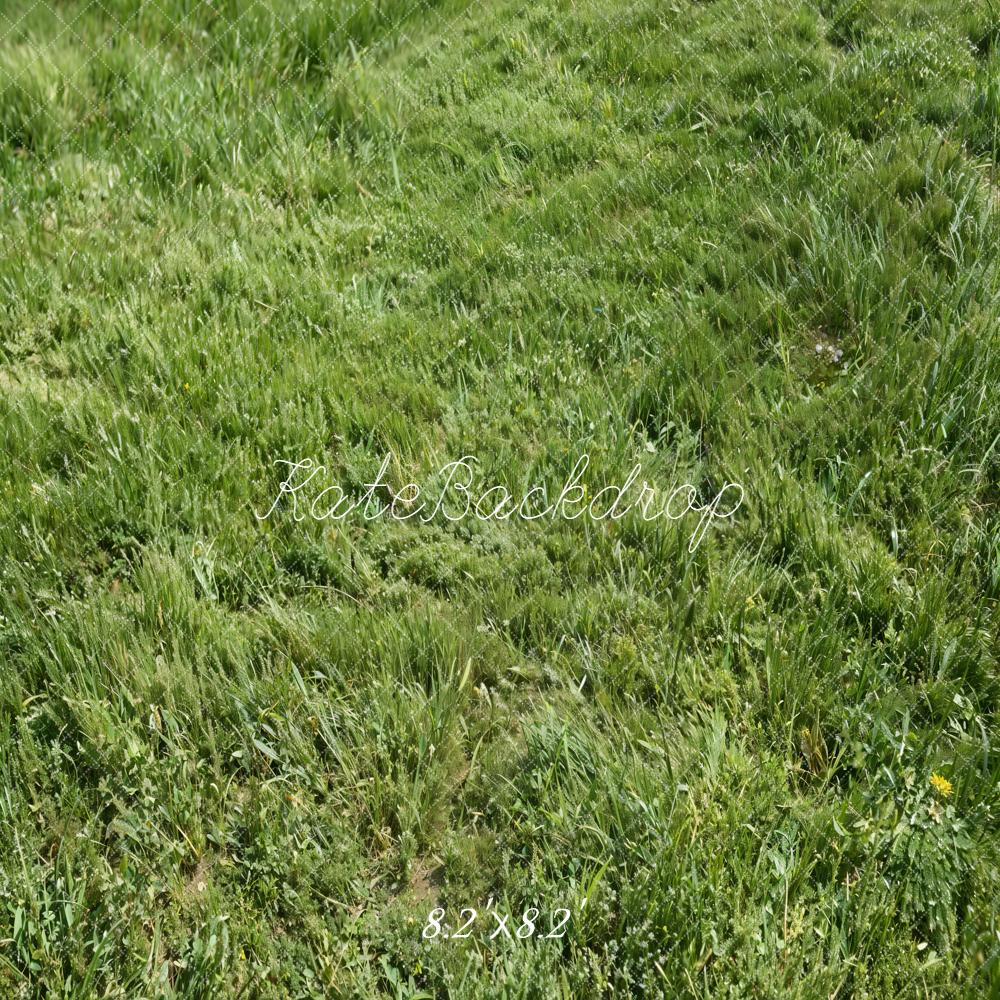Kate Green Grass Texture Floor Backdrop Designed by Kate Image - Image 5