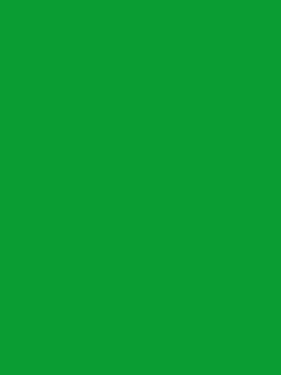 Kate Green Solid Photography Fabric Backdrop - Image 2
