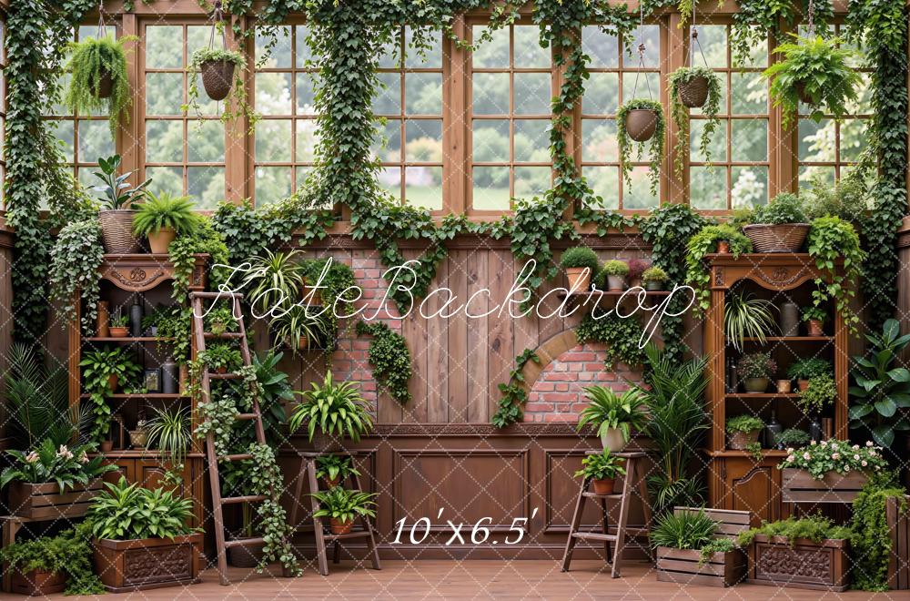Kate Greenhouse Plants Brick Arch Wooden Shelves Backdrop Designed by Mini MakeBelieve - Image 4