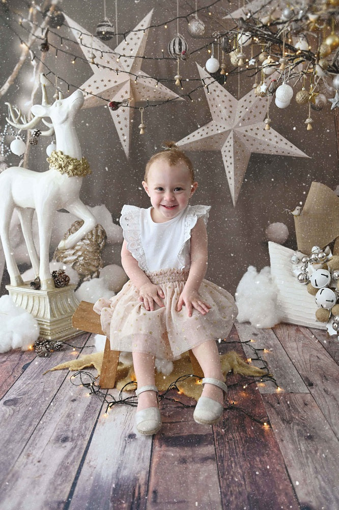 Kate Christmas Grey Star Backdrops for Photography - Image 6
