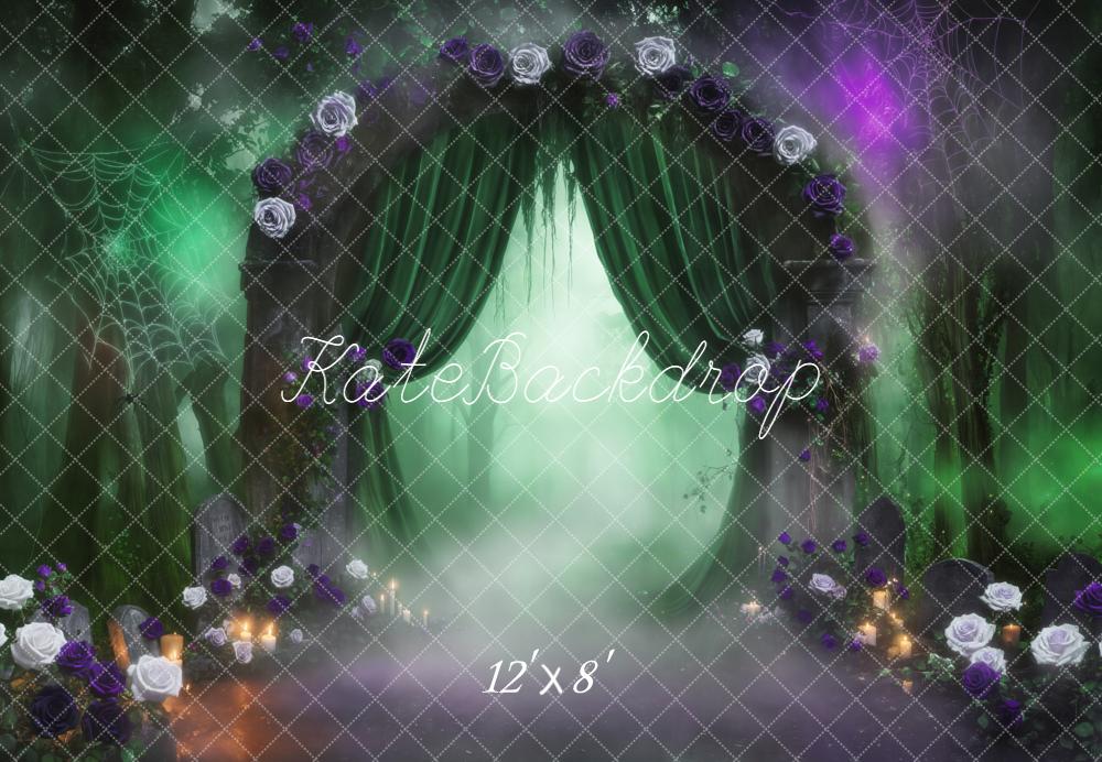 Kate Halloween Arch Spider Web Fleece Backdrop Designed by Emetselch - Image 4