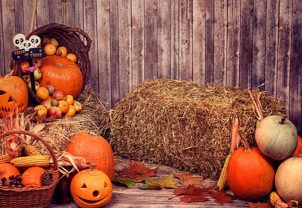 Kate Halloween Autumn Pumpkin Grass Pile Farm Backdrop Photography - Image 2