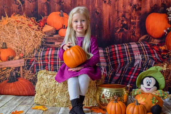 Kate Halloween Pumpkin Haystack Autumn Backdrop for Photograpy - Image 4