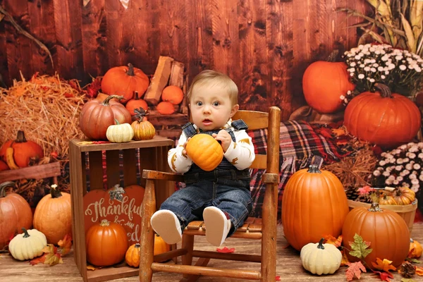 Kate Halloween Pumpkin Haystack Autumn Backdrop for Photograpy - Image 6