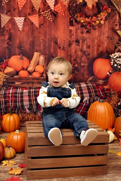 Kate Halloween Pumpkin Haystack Autumn Backdrop for Photograpy - Image 8