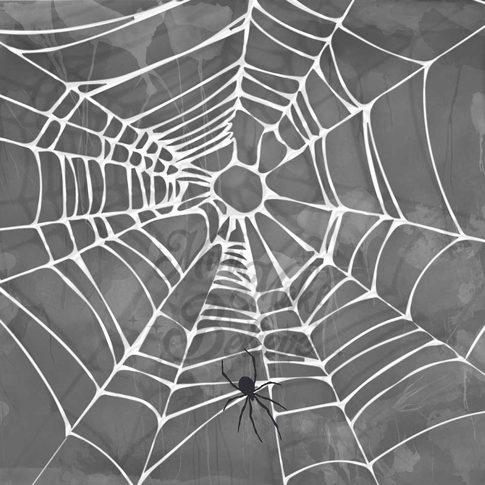 Kate Halloween Spooky Spider Web Backdrop Designed by Mini MakeBelieve - Image 2