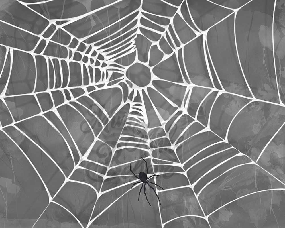 Kate Halloween Spooky Spider Web Backdrop Designed by Mini MakeBelieve - Image 3