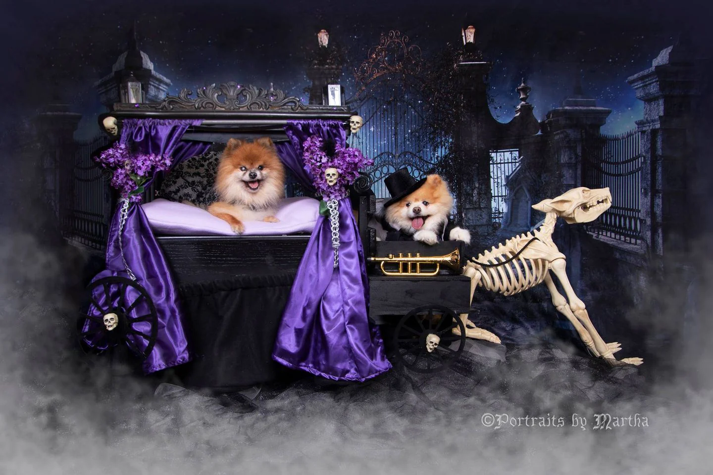 Kate Halloween Star Night Grave Scene Backdrop for Photography - Image 3