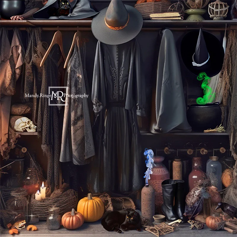 Kate Halloween Witch's Closet Backdrop Designed by Mandy Ringe Photography - Image 2