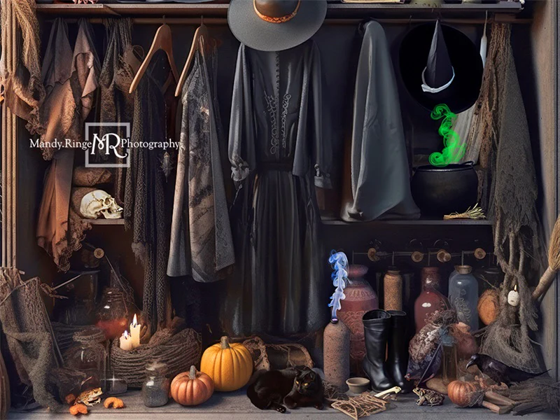 Kate Halloween Witch's Closet Backdrop Designed by Mandy Ringe Photography - Image 3