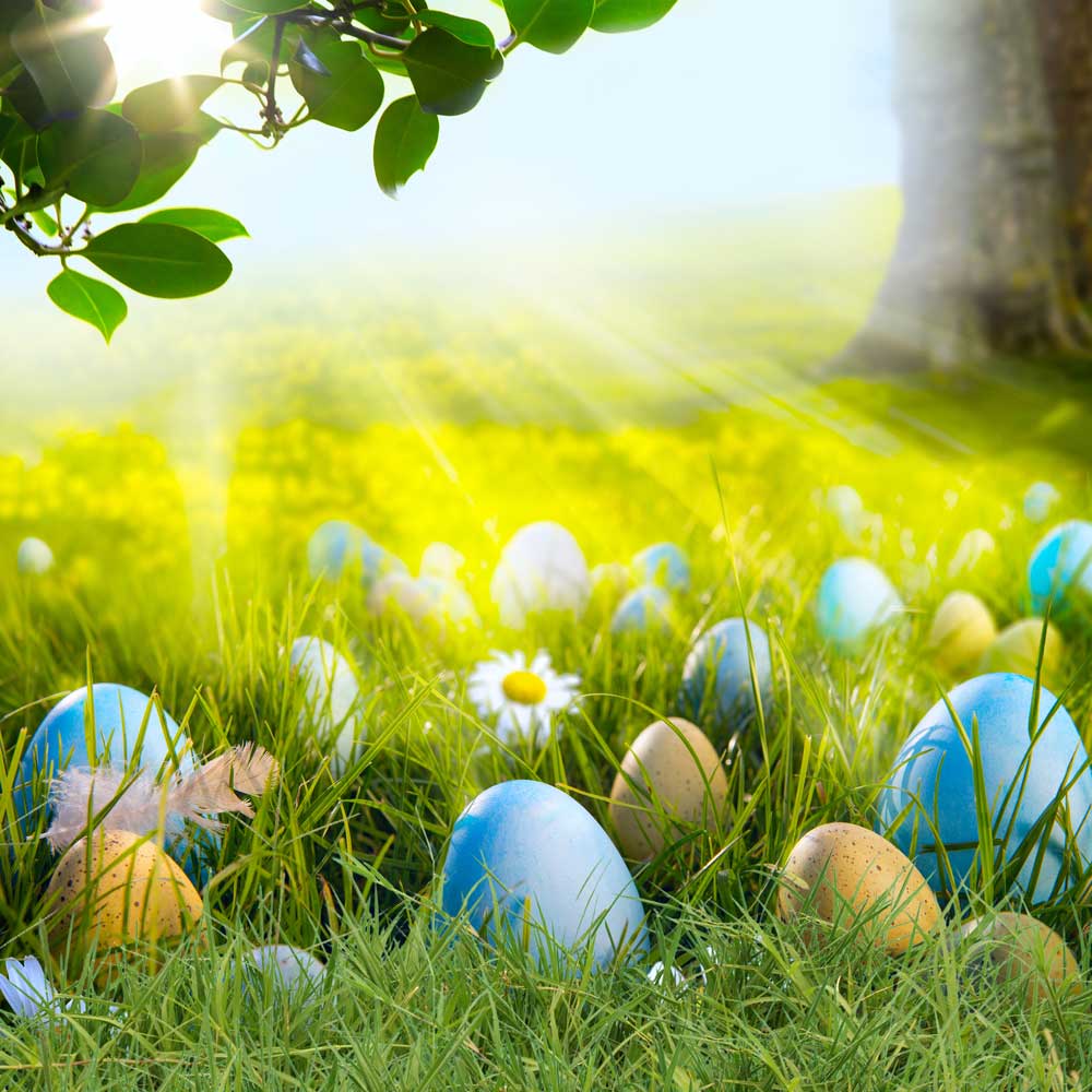 Kate Happy Easter Eggs Spring Flowers Backdrop - Image 3