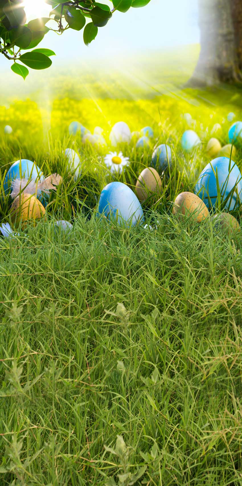 Kate Happy Easter Eggs Spring Flowers Backdrop - Image 4
