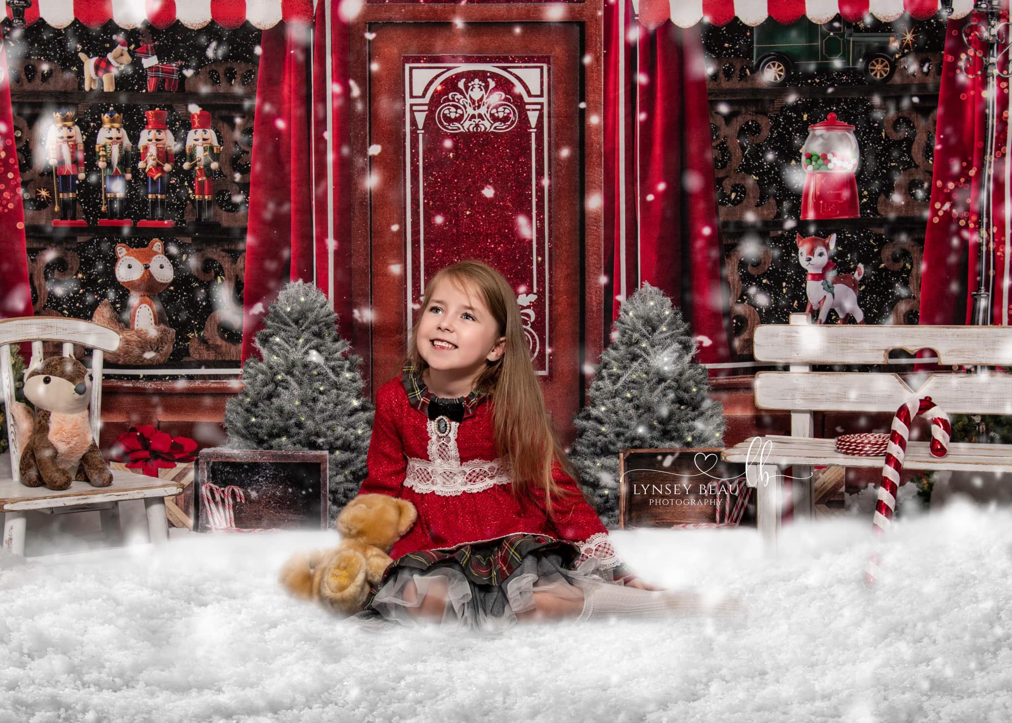 Kate Christmas Winter Candy Vintage Backdrop Designed by Mini MakeBelieve - Image 3