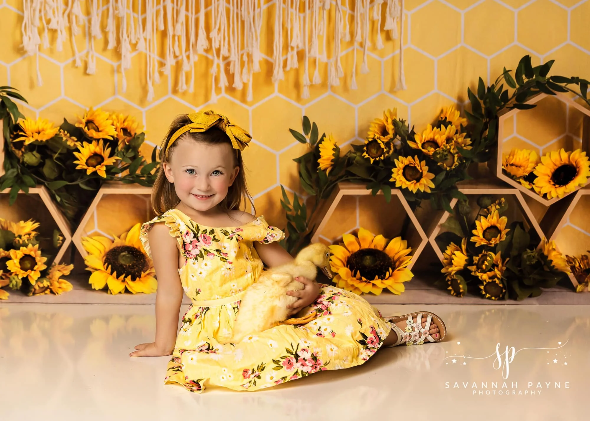 Kate Honeycomb Yellow Boho Cake Smash Backdrop Designed by Emetselch - Image 10