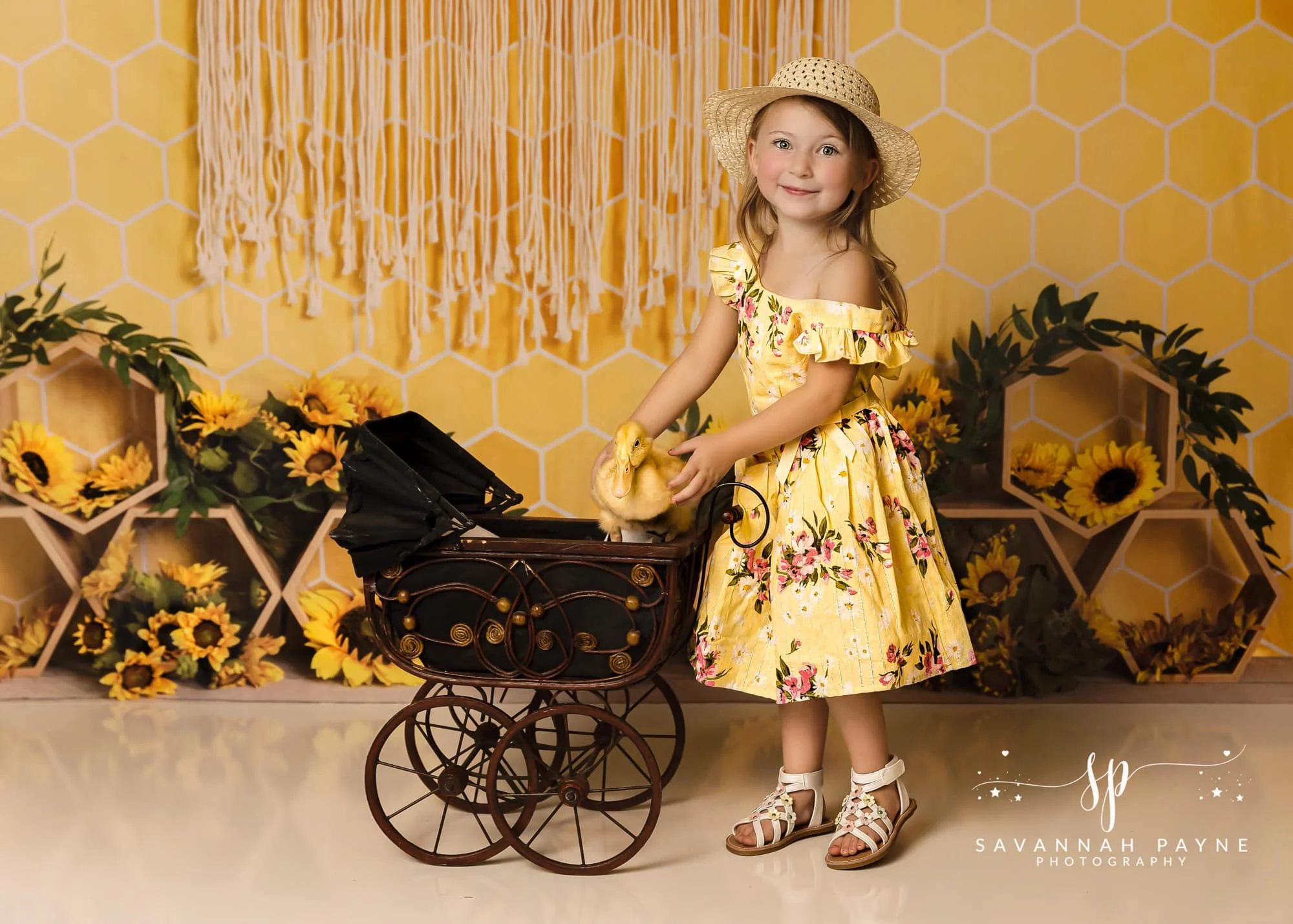 Kate Honeycomb Yellow Boho Cake Smash Backdrop Designed by Emetselch - Image 3