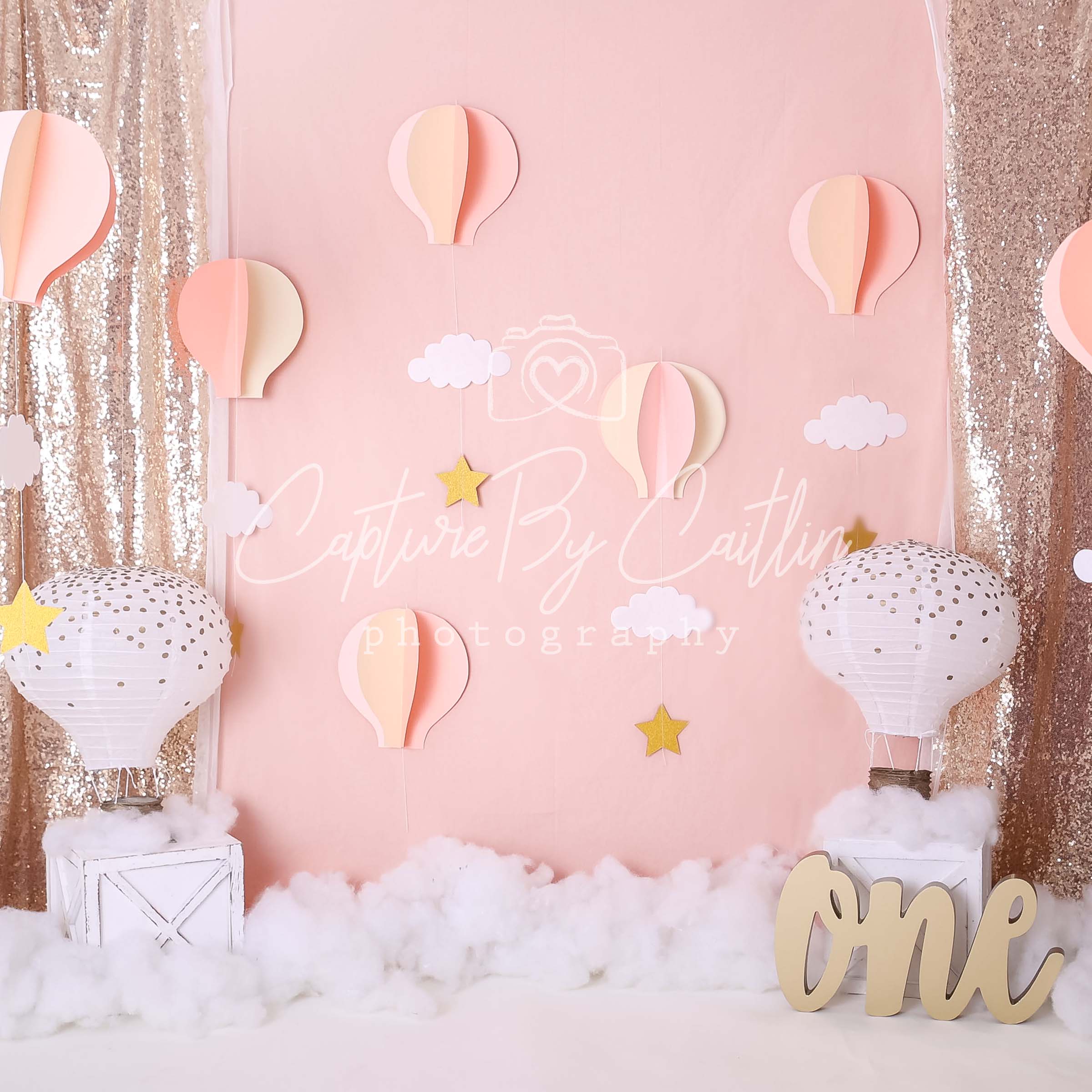 Kate Hot Air Balloon 1st Birthday Backdrop Designed by Caitlin Lynch - Image 2