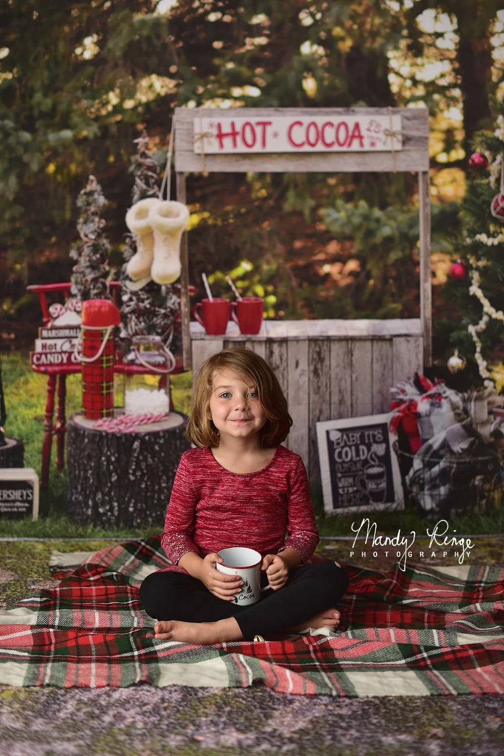 Kate Hot Cocoa Stand Backdrop Designed by Mandy Ringe Photography - Image 5