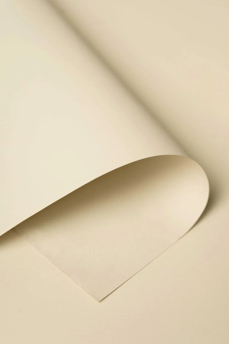 Kate Ivory Beige Seamless Paper Backdrop for Photography - Image 11