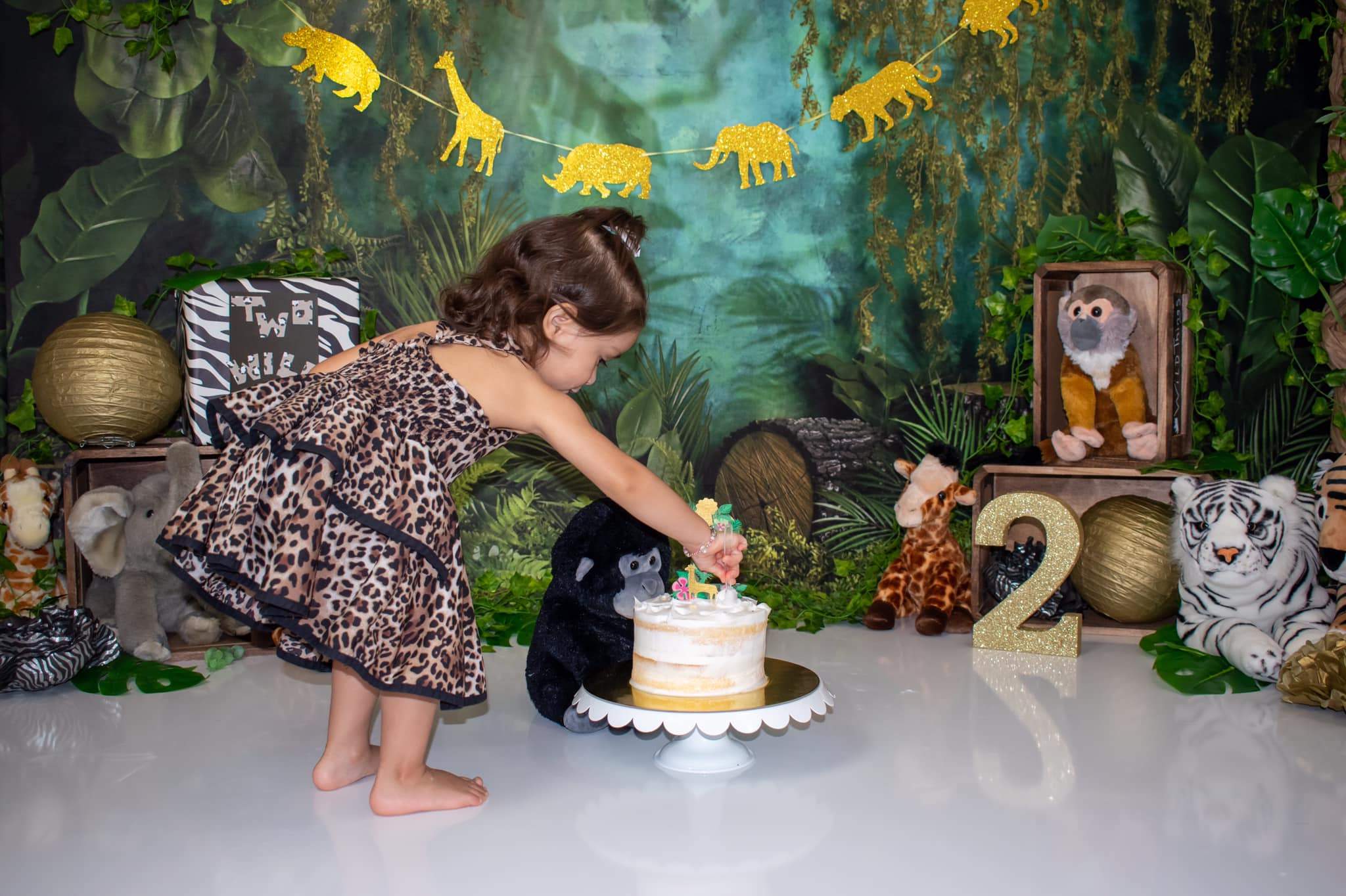 Kate Jungle Backdrop Designed by Mandy Ringe Photography