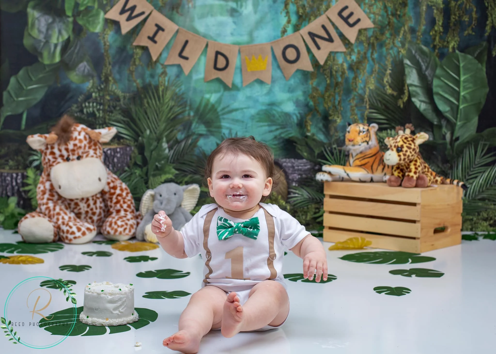 Kate Jungle Backdrop Designed by Mandy Ringe Photography - Image 12