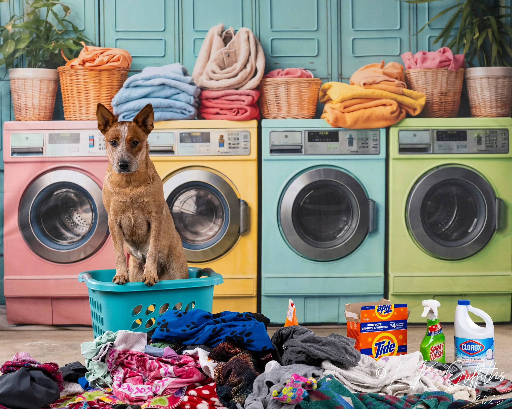 Kate Laundry Day Colorful Washing Machine Backdrop Designed by Chain Photography - Image 12