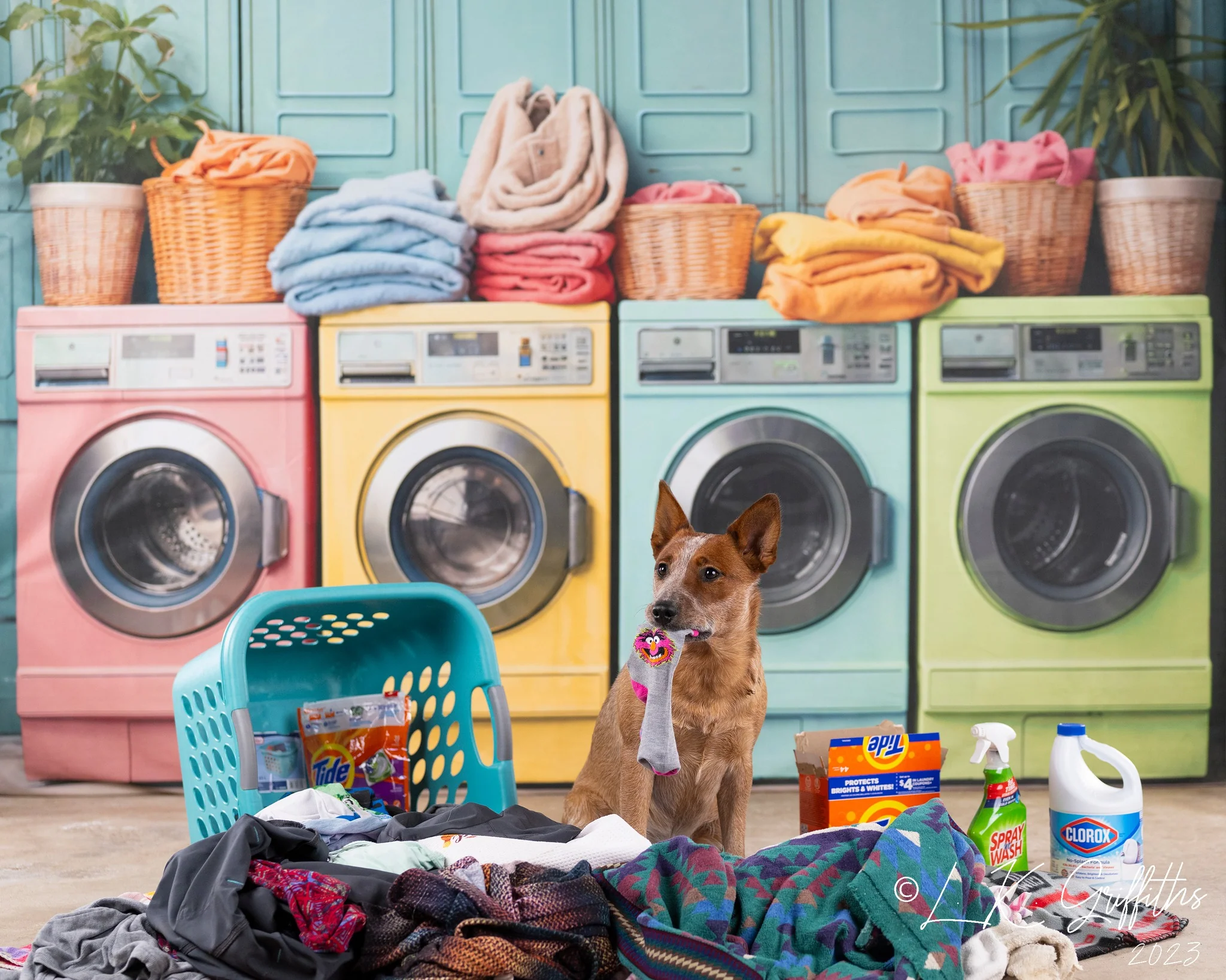 Kate Laundry Day Colorful Washing Machine Backdrop Designed by Chain Photography - Image 6