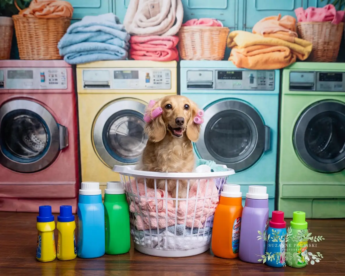 Kate Laundry Day Colorful Washing Machine Spring Fleece Backdrop Designed by Chain Photography - Image 14