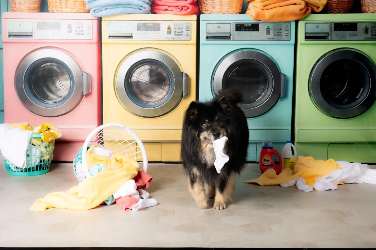 Kate Laundry Day Colorful Washing Machine Spring Fleece Backdrop Designed by Chain Photography - Image 15