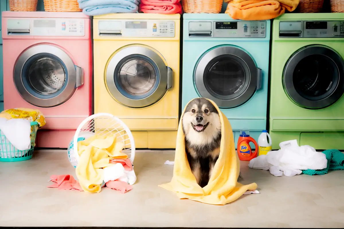 Kate Laundry Day Colorful Washing Machine Spring Fleece Backdrop Designed by Chain Photography - Image 6