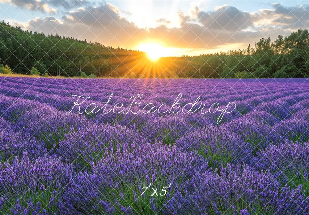 Kate Lavender Field Sunshine Backdrop Designed by Mini MakeBelieve - Image 2