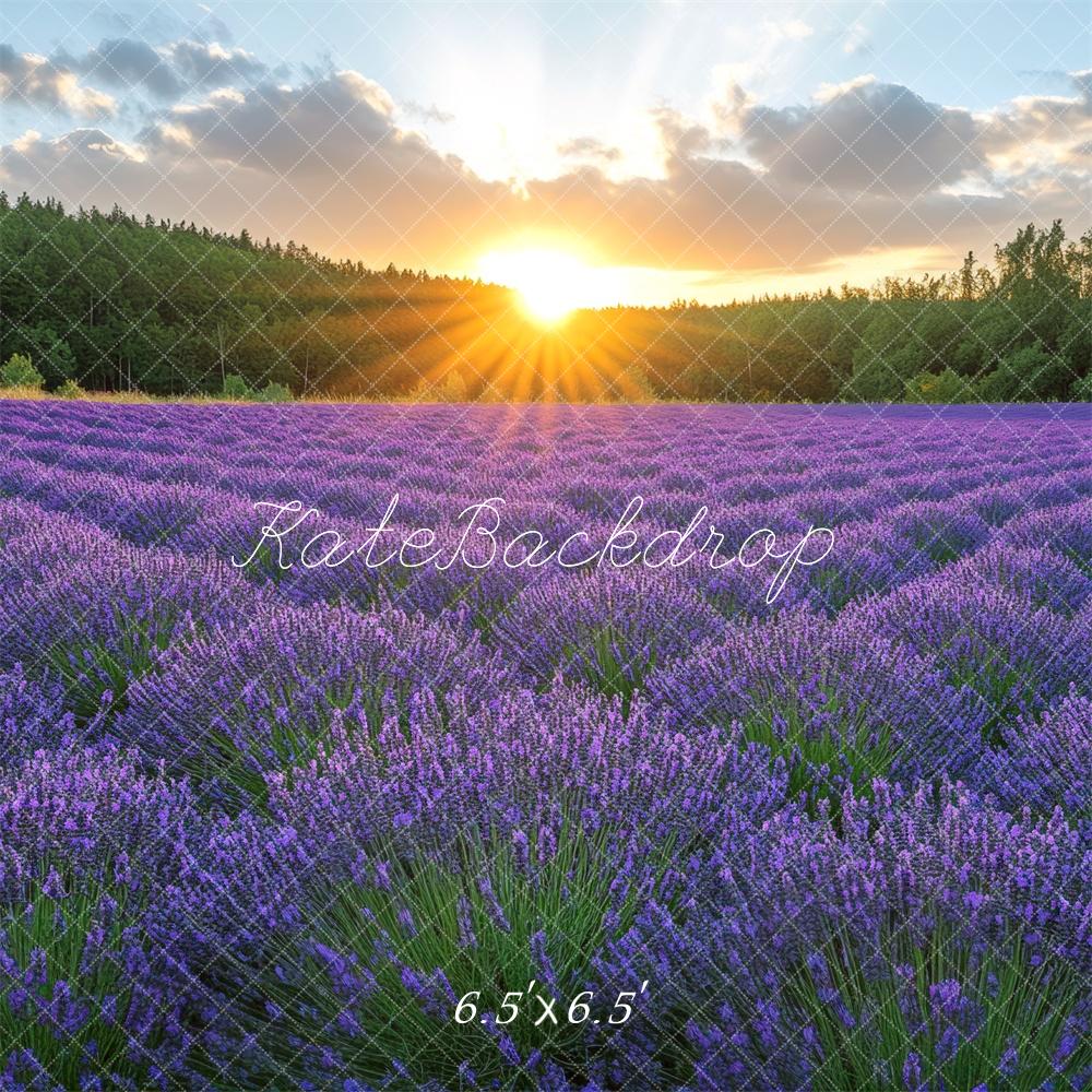 Kate Lavender Field Sunshine Backdrop Designed by Mini MakeBelieve - Image 4