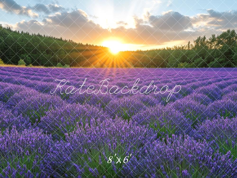 Kate Lavender Field Sunshine Backdrop Designed by Mini MakeBelieve - Image 5