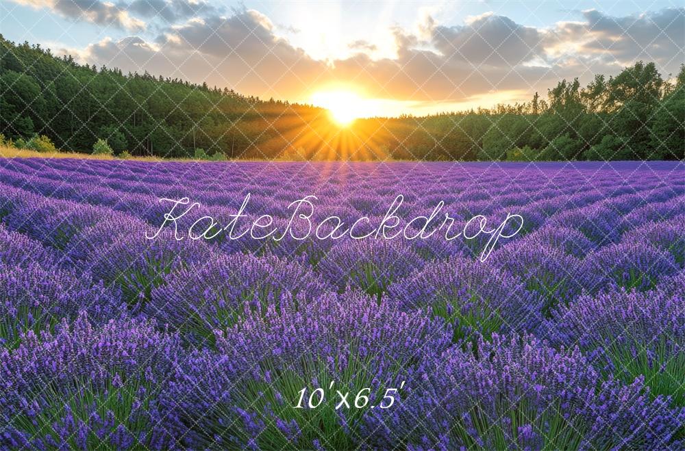 Kate Lavender Field Sunshine Backdrop Designed by Mini MakeBelieve - Image 6