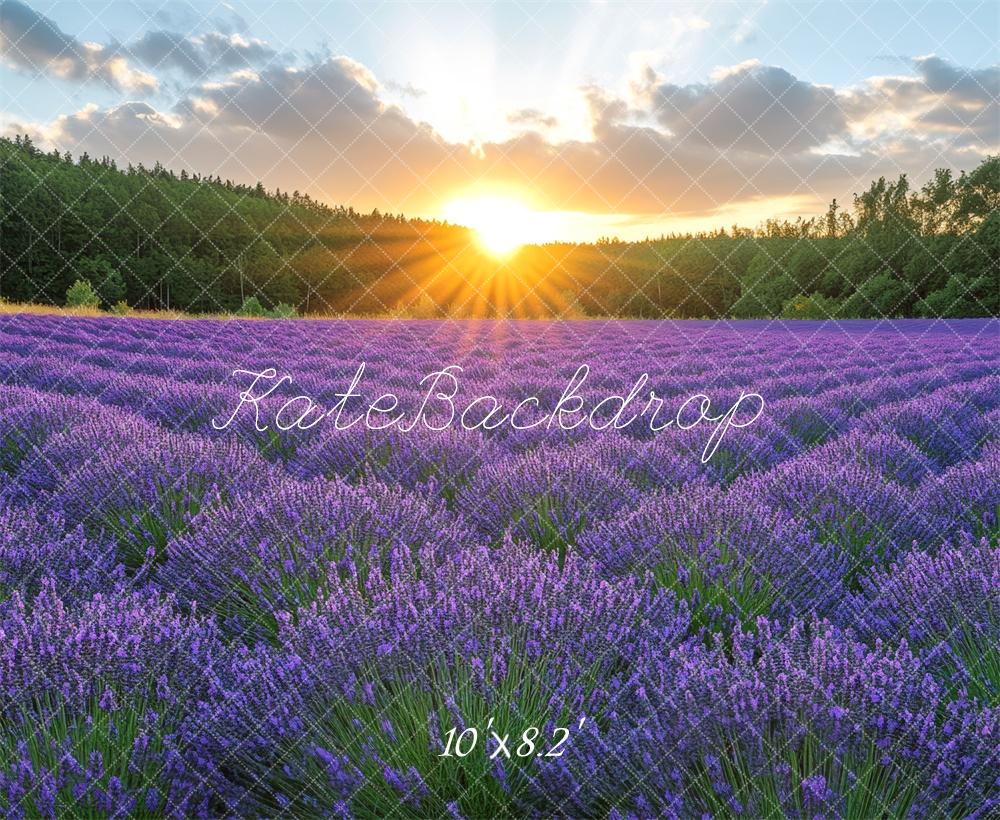 Kate Lavender Field Sunshine Backdrop Designed by Mini MakeBelieve - Image 7