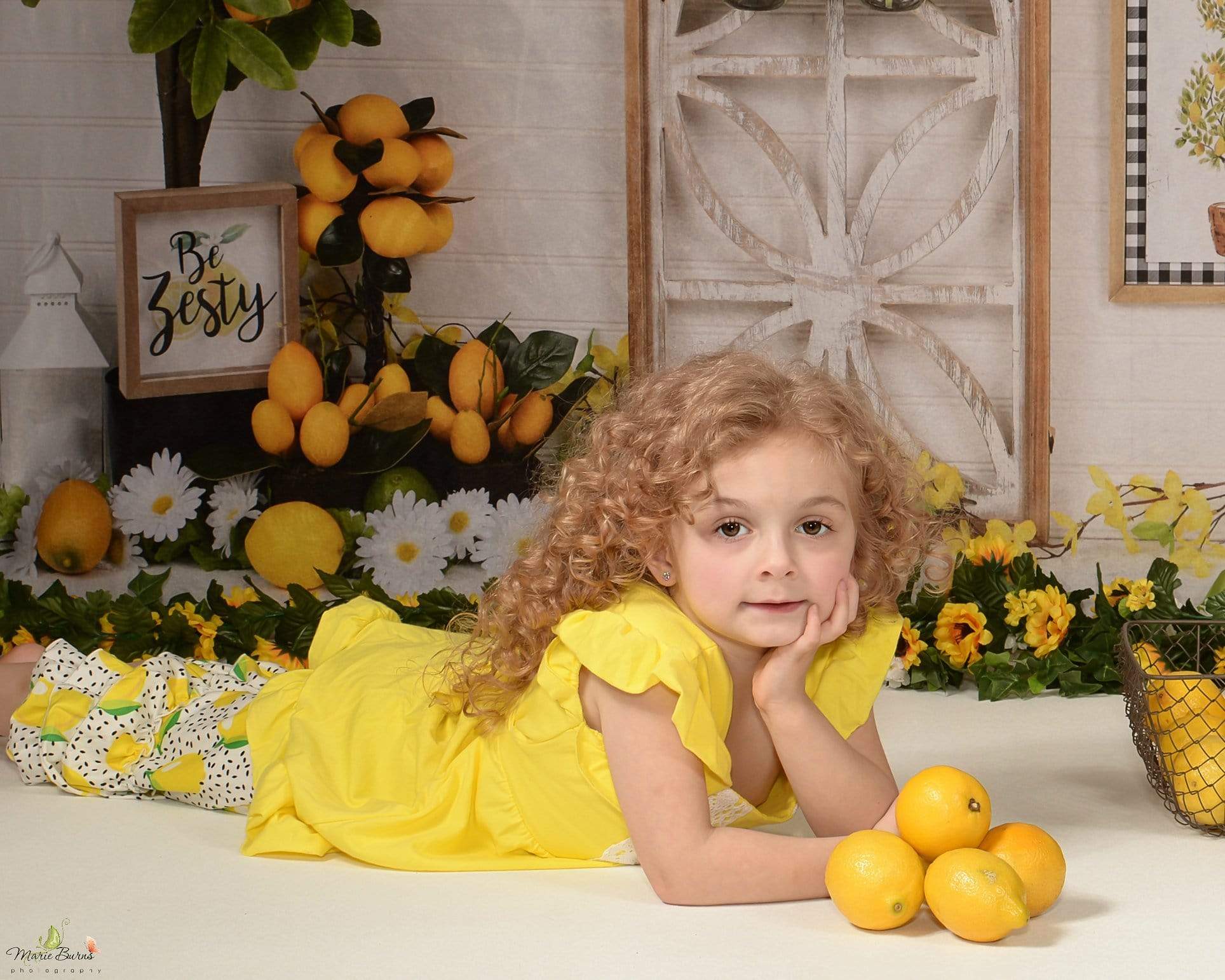 Kate Lemon Be Zesty Spring Backdrop - Image 10
