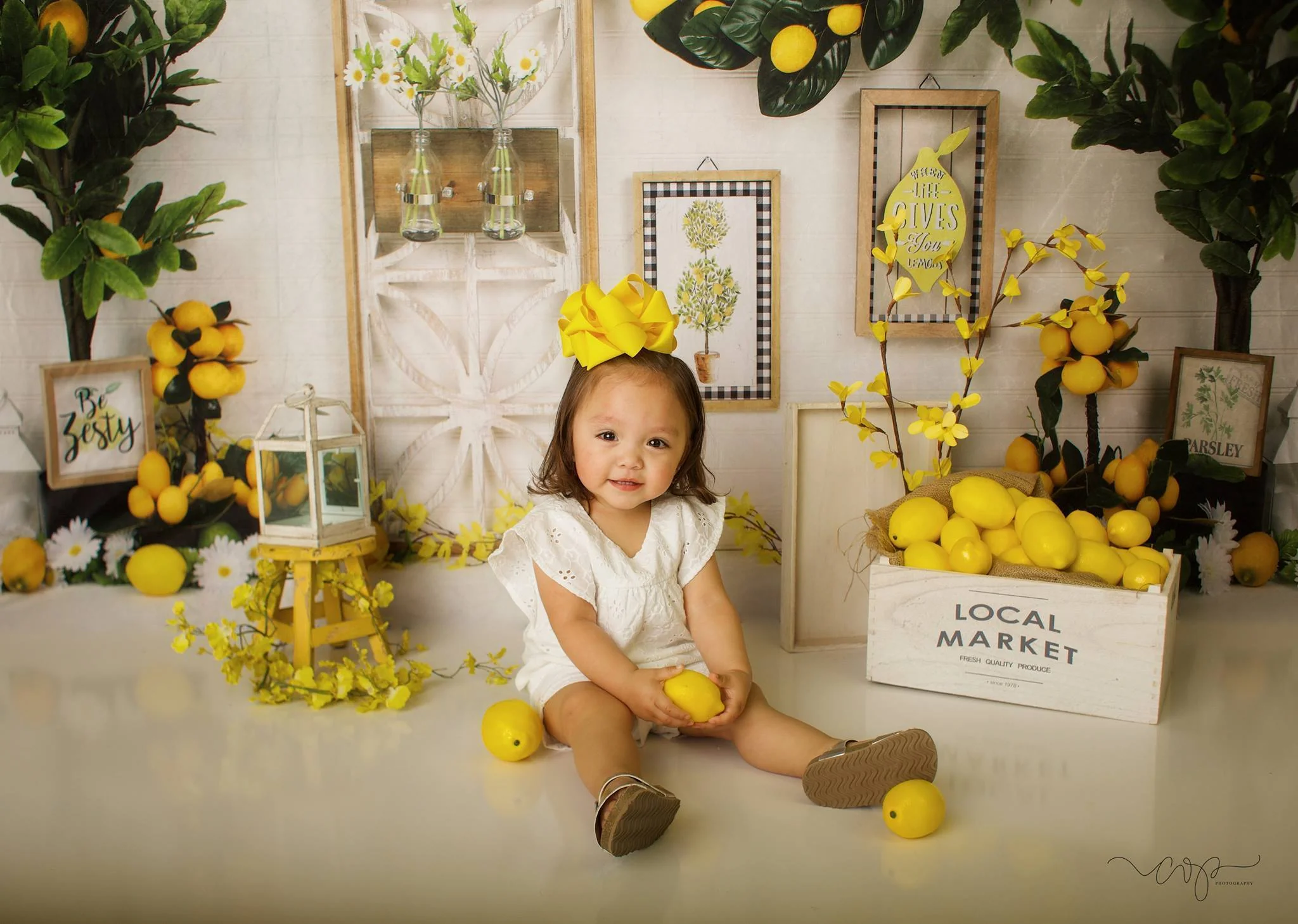 Kate Lemon Be Zesty Spring Backdrop - Image 7