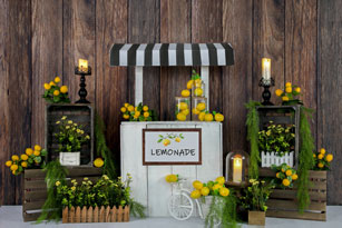 Kate Summer Lemon Stand Backdrop Designed by Jia Chan Photography - Image 4