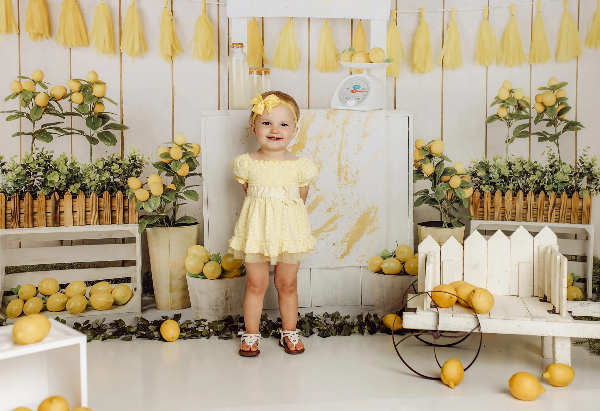Kate Summer Lemon Store Backdrop Designed by Jia Chan Photography