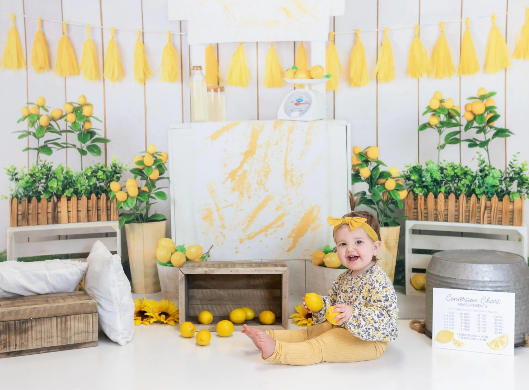 Kate Summer Lemon Store Backdrop Designed by Jia Chan Photography - Image 3