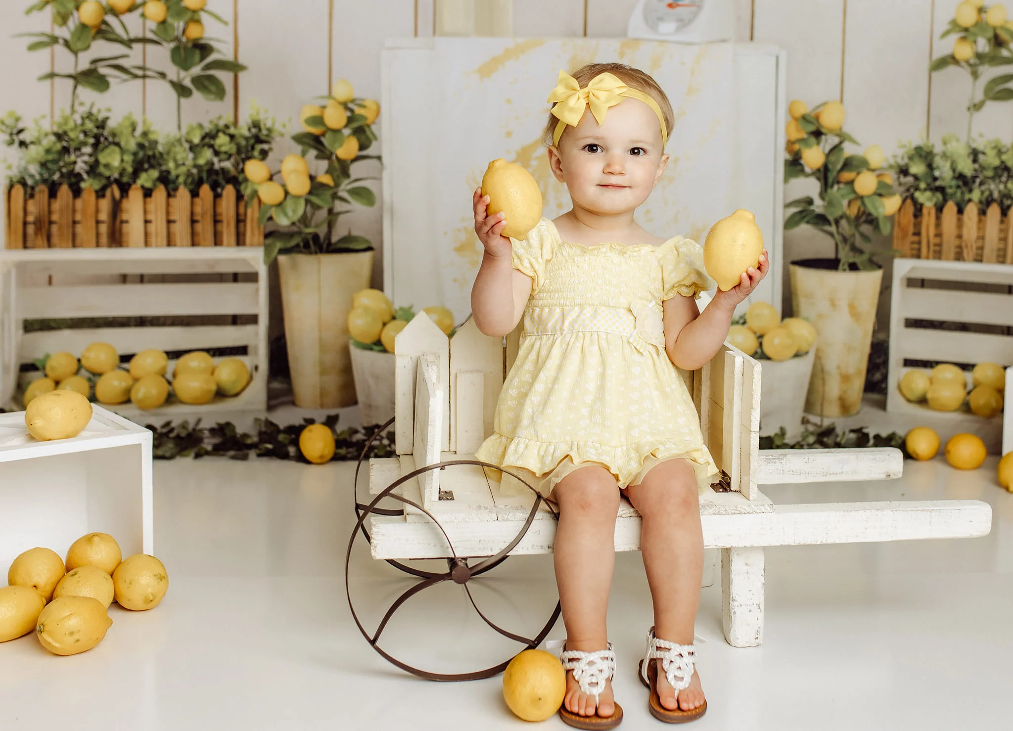 Kate Summer Lemon Store Backdrop Designed by Jia Chan Photography - Image 4