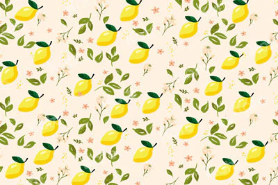 Kate Lemon Summer Cake Smash Backdrop Designed By JS Photography - Image 2