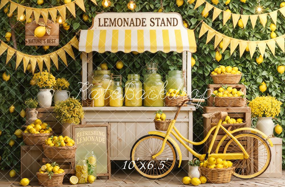 Kate Lemonade Stand Lemons Baskets Bicycle Fleece Backdrop Designed by Emetselch - Image 2