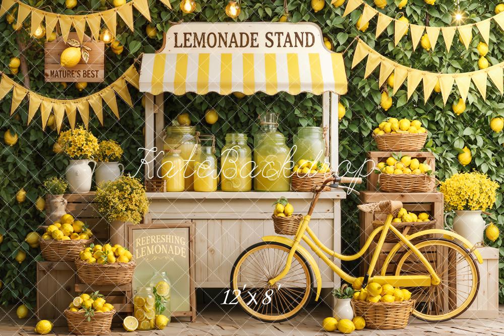 Kate Lemonade Stand Lemons Baskets Bicycle Fleece Backdrop Designed by Emetselch - Image 4