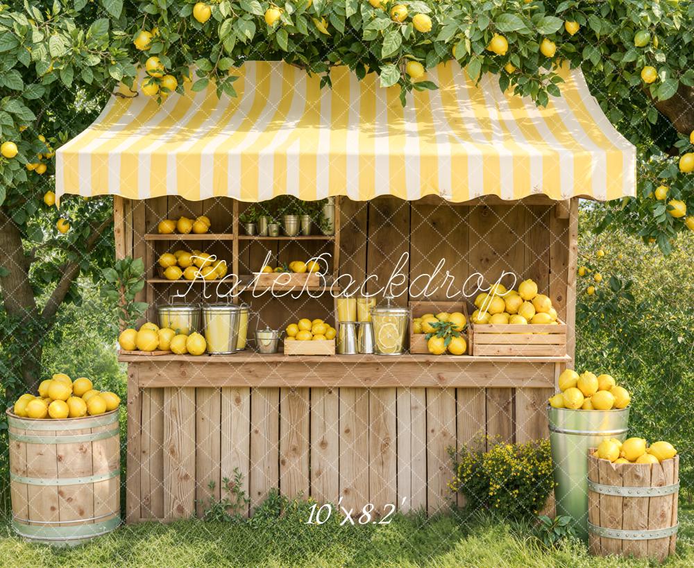 Kate Lemonade Stand Wooden Fleece Backdrop Designed by Emetselch - Image 3