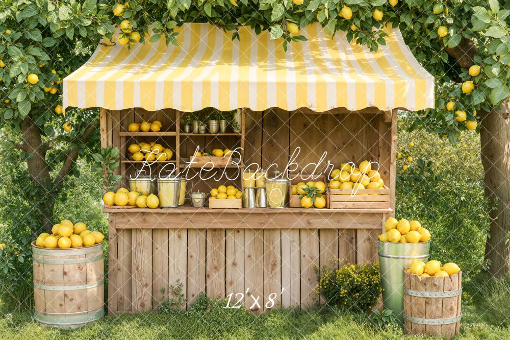 Kate Lemonade Stand Wooden Fleece Backdrop Designed by Emetselch - Image 4