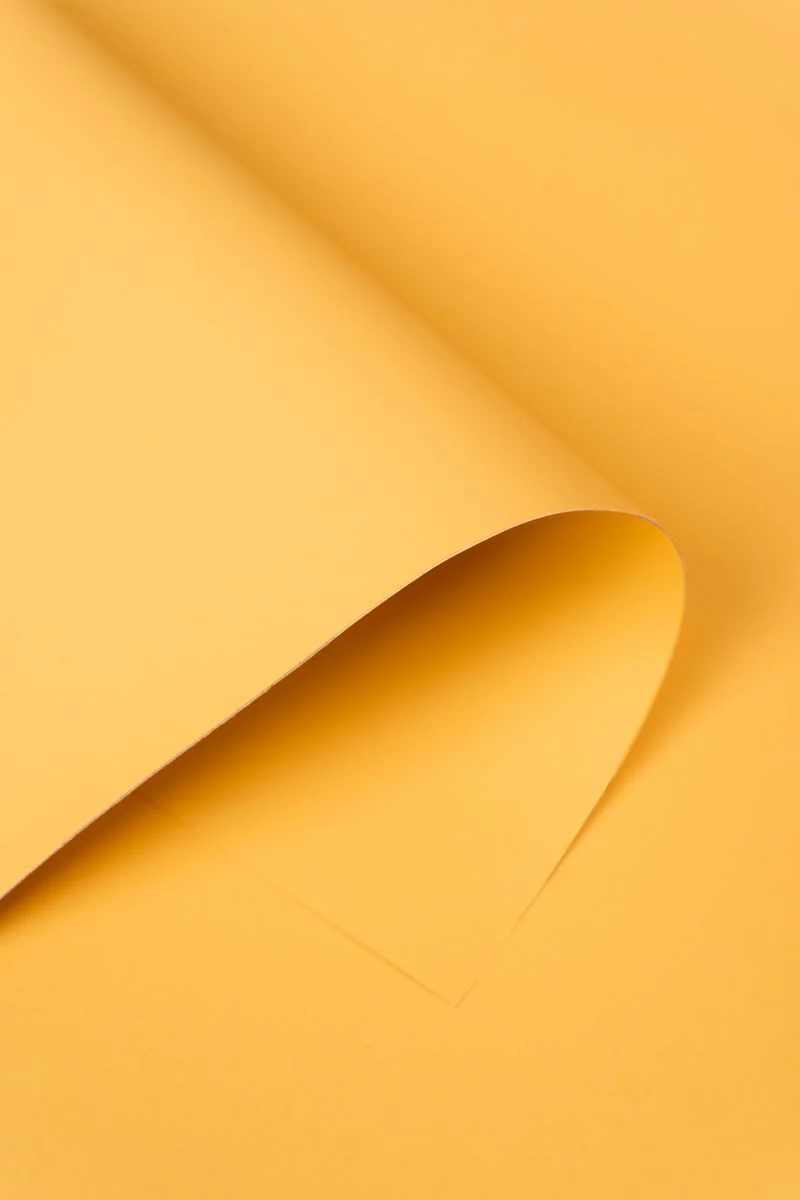 Kate Light Yellow Seamless Paper Backdrop for Photography - Image 9