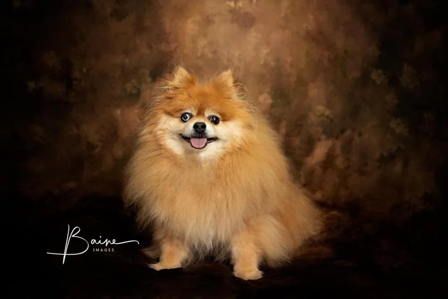 Kate Like Oil Painting Background Abstract Texture Fleece Fleece Backdrops For Photography - Image 6