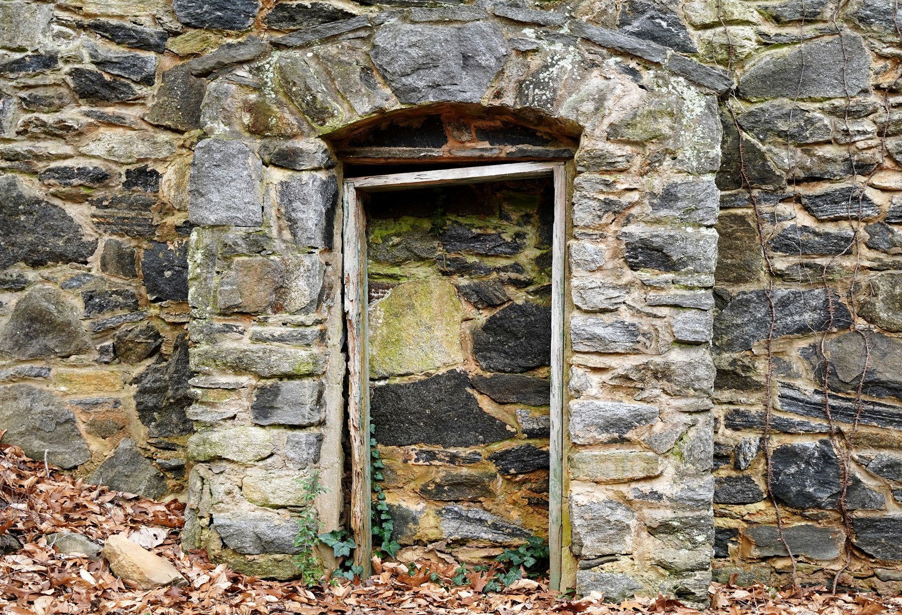 Kate Medievil Rock Doorway Backdrop designed by Arica Kirby - Image 2
